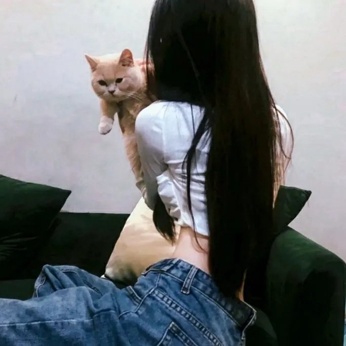 敌后英雄
